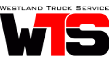 WTS Westland Truck Service - Vrachtwagen garage te Maasdijk - Techno Mondo elektro, beveiliging, ICT.png (1)