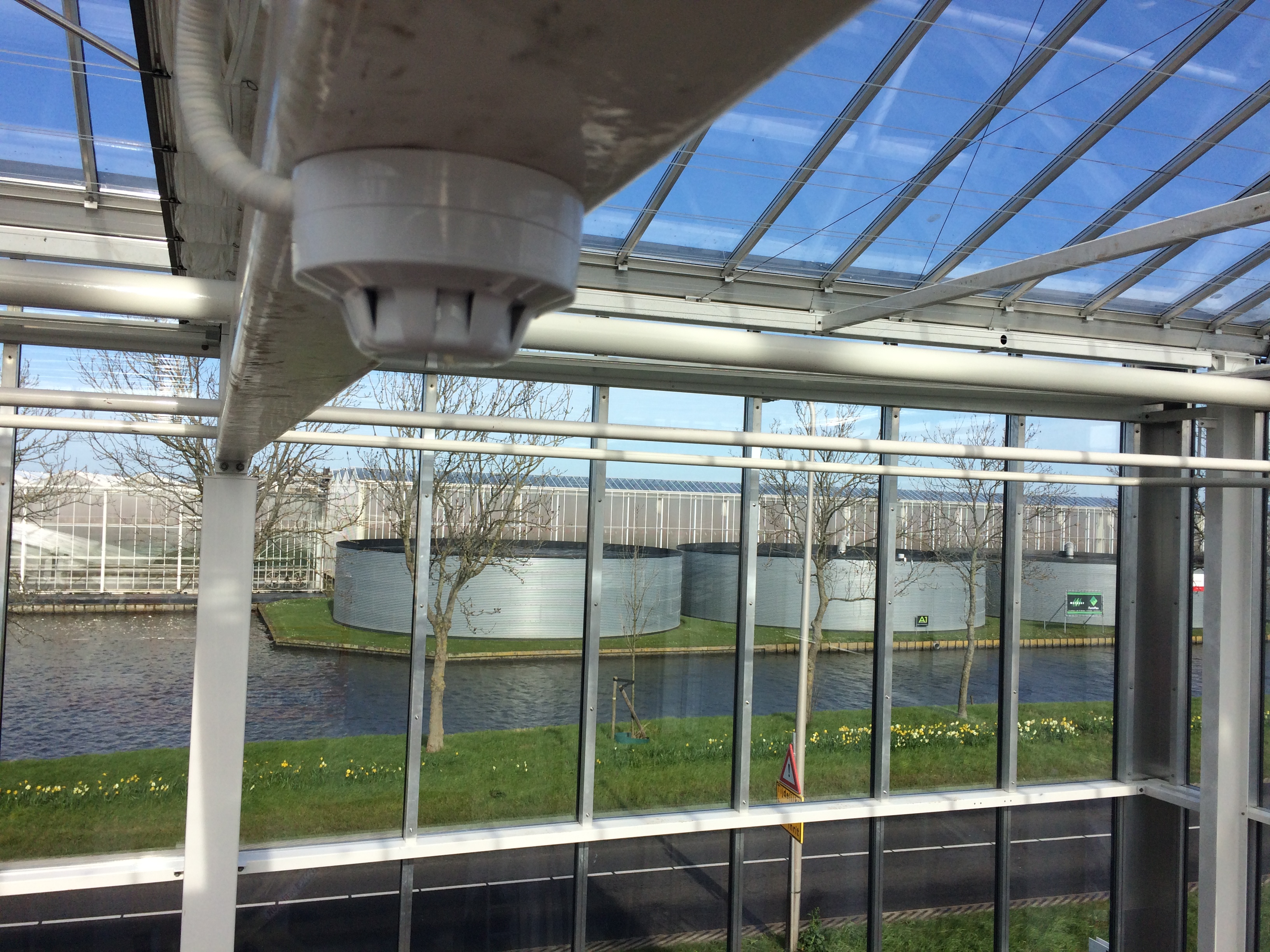 Rook mldr foto in nok kas.jpg