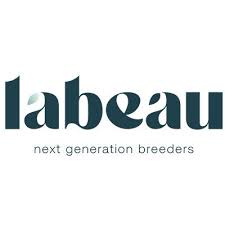 Labeau